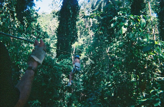 phc2004501.jpg